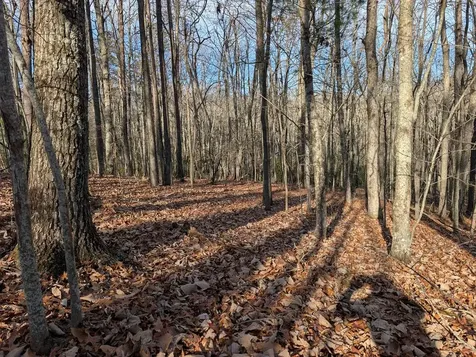 Lot 20 Wilderness Creek Way Murphy NC 28906
