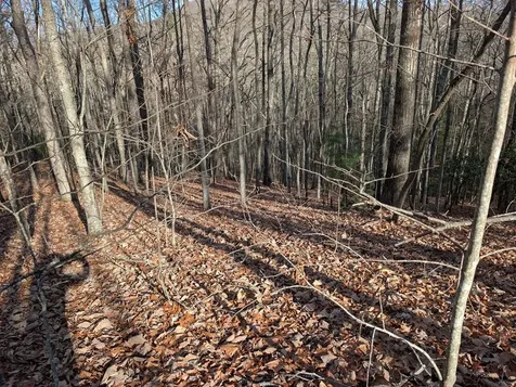 Lot 20 Wilderness Creek Way Murphy NC 28906