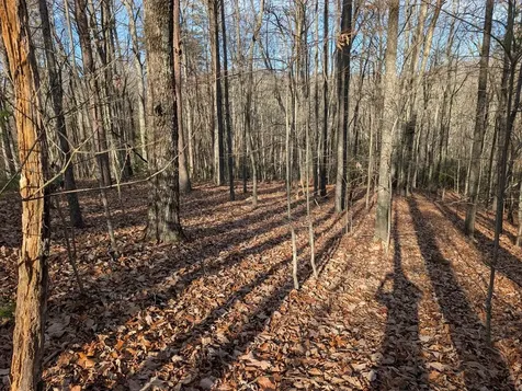 Lot 20 Wilderness Creek Way Murphy NC 28906