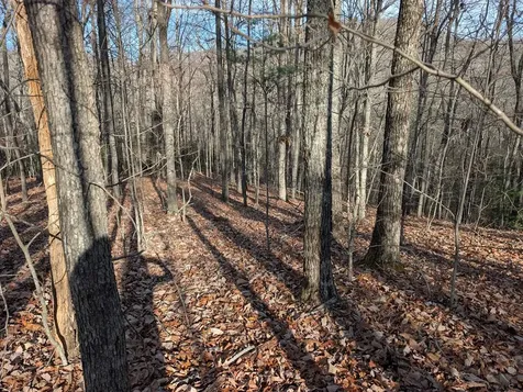 Lot 20 Wilderness Creek Way Murphy NC 28906