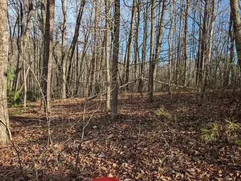 Lot 20 Wilderness Creek Way Murphy NC 28906