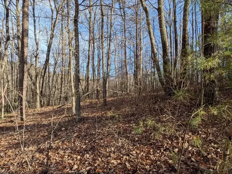 Lot 20 Wilderness Creek Way Murphy NC 28906