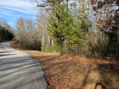 Lot 20 Wilderness Creek Way Murphy NC 28906