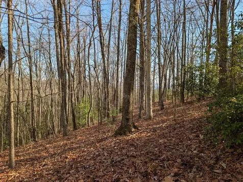 Lot 20 Wilderness Creek Way Murphy NC 28906