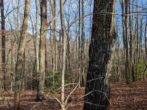 Lot 20 Wilderness Creek Way Murphy NC 28906