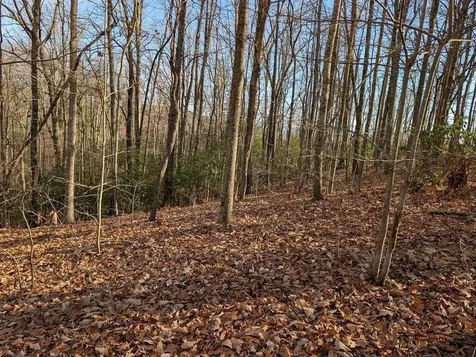 Lot 20 Wilderness Creek Way Murphy NC 28906