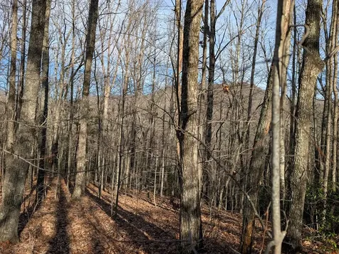 Lot 20 Wilderness Creek Way Murphy NC 28906