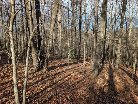 Lot 20 Wilderness Creek Way Murphy NC 28906