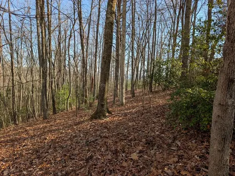 Lot 20 Wilderness Creek Way Murphy NC 28906
