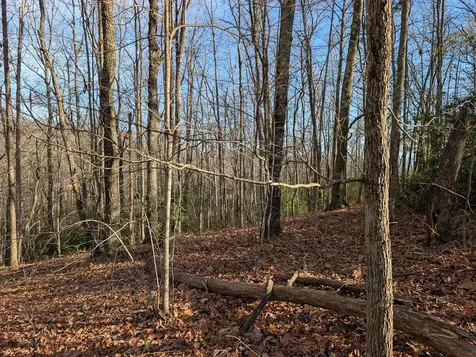 Lot 20 Wilderness Creek Way Murphy NC 28906