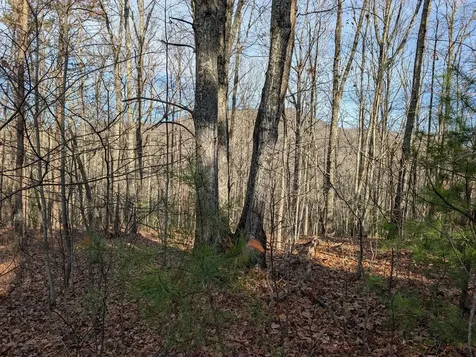 Lot 20 Wilderness Creek Way Murphy NC 28906