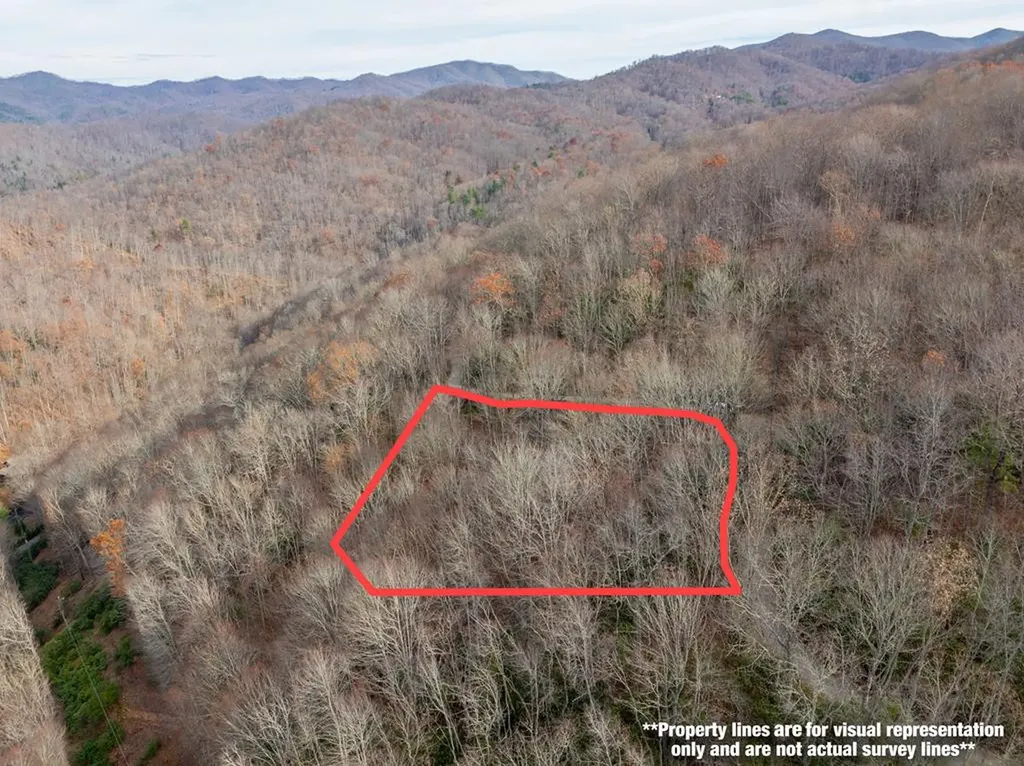 Lot 5 Mountain Tabor Topton NC 28781