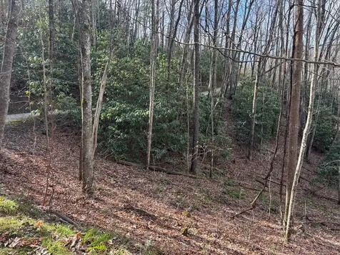 Lot 5 Mountain Tabor Topton NC 28781