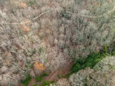 Lot 5 Mountain Tabor Topton NC 28781