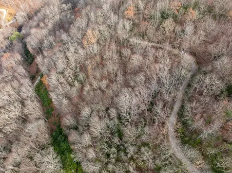 Lot 5 Mountain Tabor Topton NC 28781