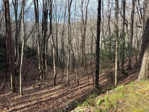Lot 5 Mountain Tabor Topton NC 28781