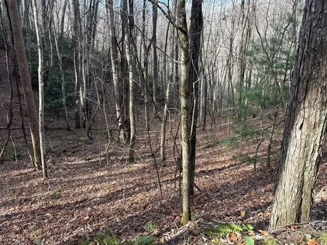 Lot 5 Mountain Tabor Topton NC 28781