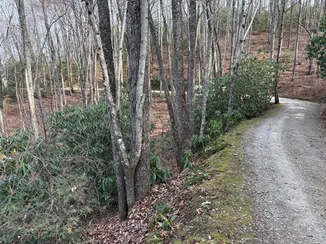 Lot 5 Mountain Tabor Topton NC 28781