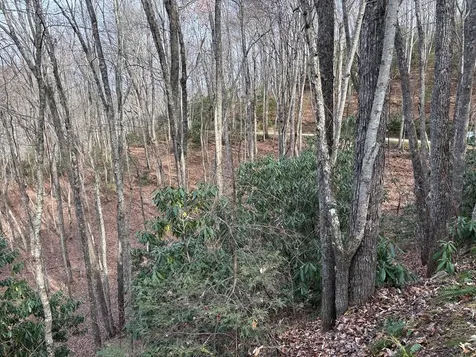 Lot 5 Mountain Tabor Topton NC 28781
