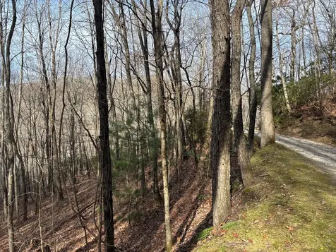 Lot 5 Mountain Tabor Topton NC 28781