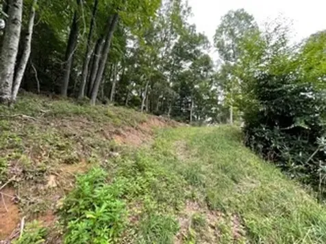 Lot 15 Summit View Drive Topton NC 28781