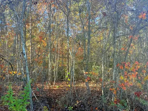 Lot 25 Hideaway Ridge Drive Murphy NC 28906