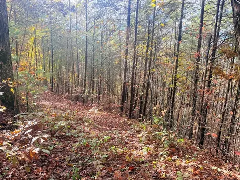12-4 Cardinal Road Murphy NC 28906