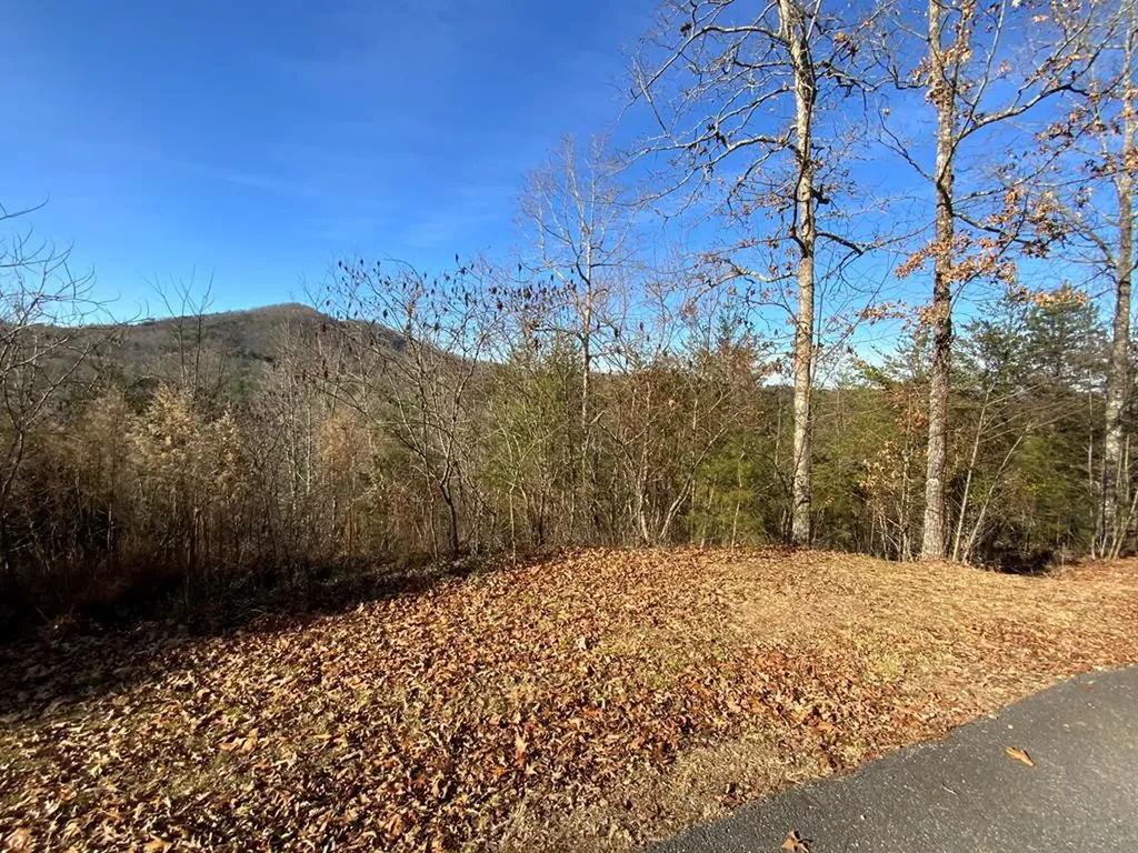 00 Brasstown View Murphy NC 28906