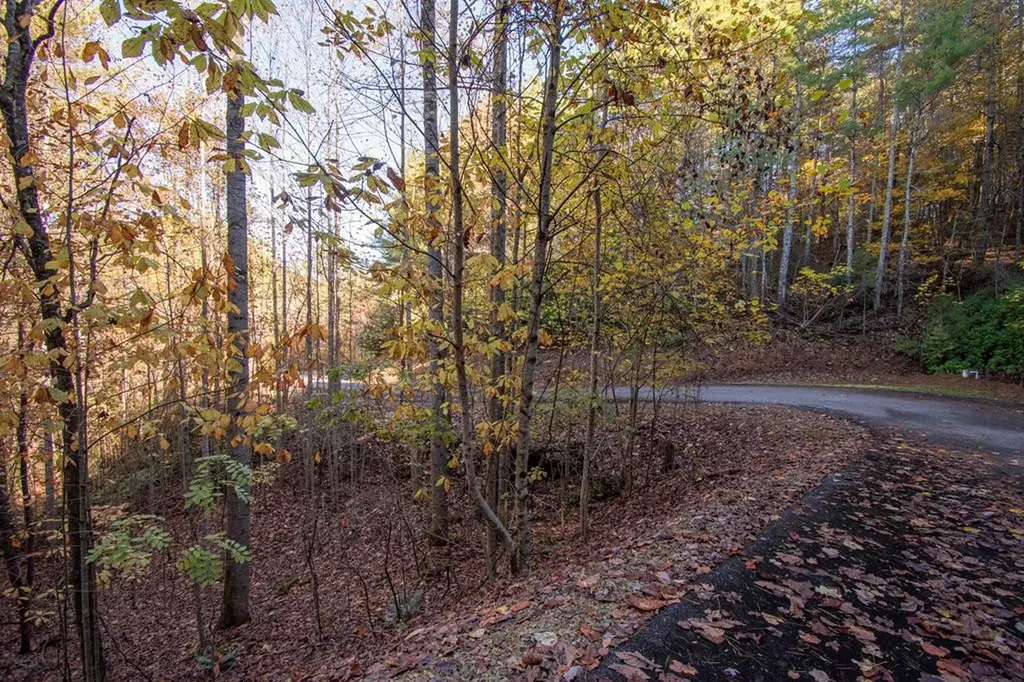 66 Choctaw Ridge Trail Murphy NC 28906