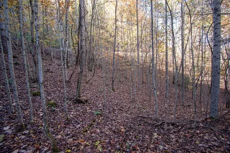 66 Choctaw Ridge Trail Murphy NC 28906