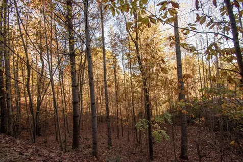 66 Choctaw Ridge Trail Murphy NC 28906