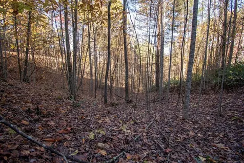 66 Choctaw Ridge Trail Murphy NC 28906