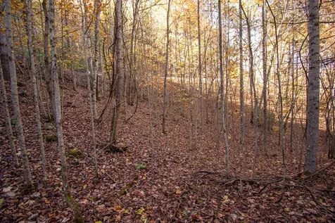 66 Choctaw Ridge Trail Murphy NC 28906