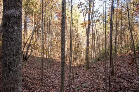 66 Choctaw Ridge Trail Murphy NC 28906
