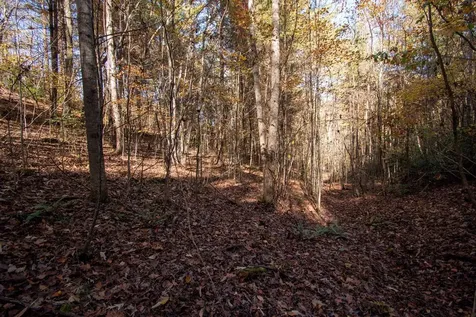 66 Choctaw Ridge Trail Murphy NC 28906