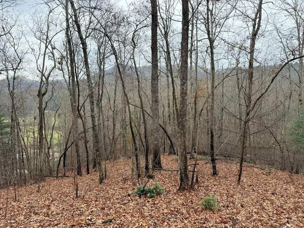 0 Flaming Ridge Hayesville NC 28904