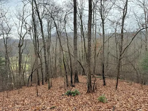 0 Flaming Ridge Hayesville NC 28904