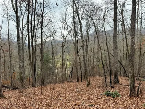 0 Flaming Ridge Hayesville NC 28904