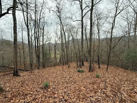 0 Flaming Ridge Hayesville NC 28904