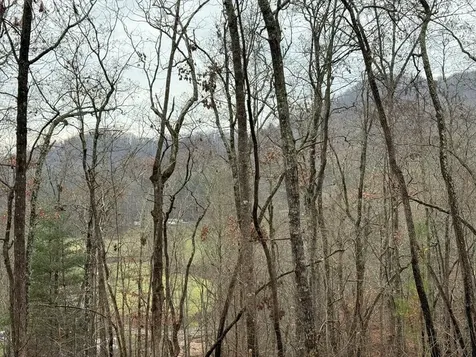 0 Flaming Ridge Hayesville NC 28904