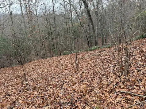 0 Flaming Ridge Hayesville NC 28904