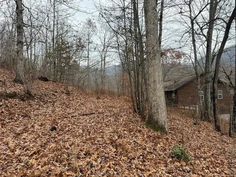0 Flaming Ridge Hayesville NC 28904