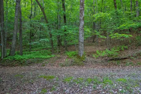 00 Laurel Mountain Road Brasstown NC 28902