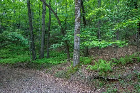 00 Laurel Mountain Road Brasstown NC 28902