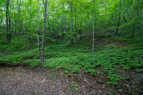 00 Laurel Mountain Road Brasstown NC 28902