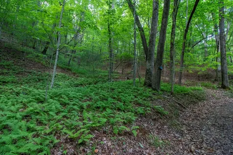 00 Laurel Mountain Road Brasstown NC 28902