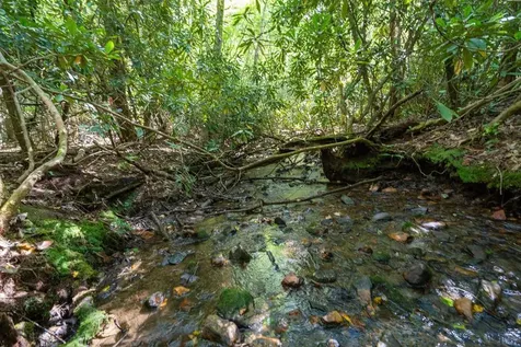 26.98 Ac Tusquittee Hayesville NC 28904