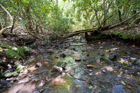 26.98 Ac Tusquittee Hayesville NC 28904