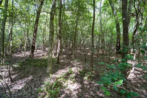 26.98 Ac Tusquittee Hayesville NC 28904