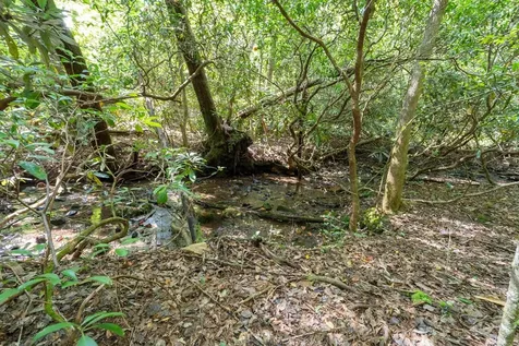 26.98 Ac Tusquittee Hayesville NC 28904